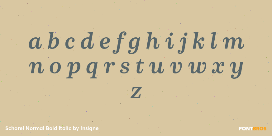 Schorel Normal Bold Italic Font Poster #3