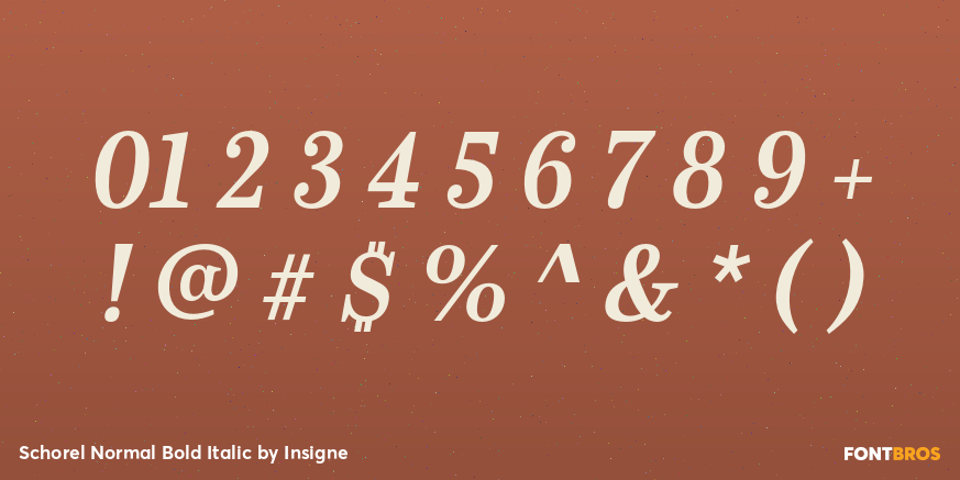 Schorel Normal Bold Italic Font Poster #4