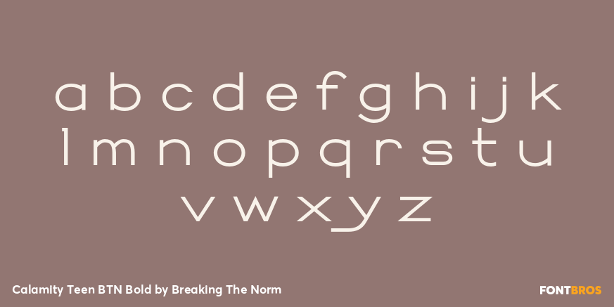 Calamity Teen BTN Bold Font Poster #3