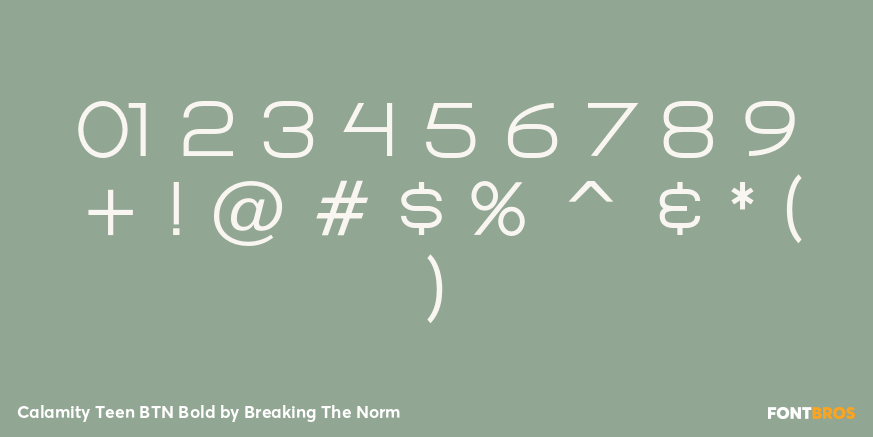 Calamity Teen BTN Bold Font Poster #4