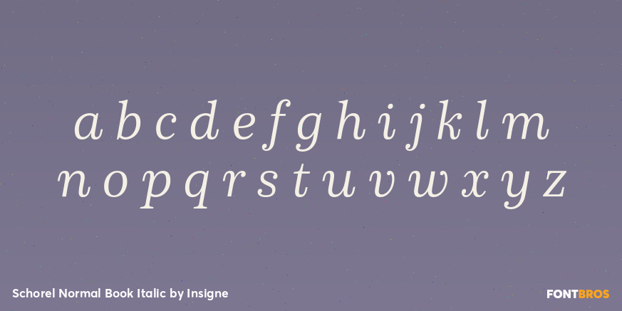 Schorel Normal Book Italic Font Poster #3