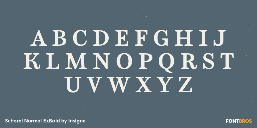 Schorel Normal ExBold Font Poster #2