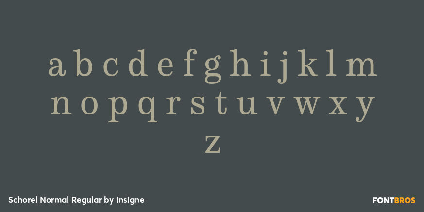 Schorel Normal Regular Font Poster #3