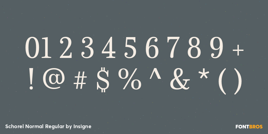 Schorel Normal Regular Font Poster #4