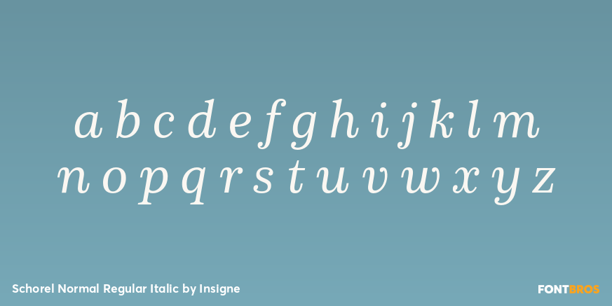 Schorel Normal Regular Italic Font Poster #3