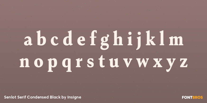 Senlot Serif Condensed Black Font Poster #3