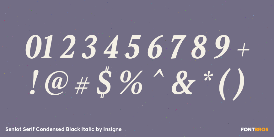 Senlot Serif Condensed Black Italic Font Poster #1