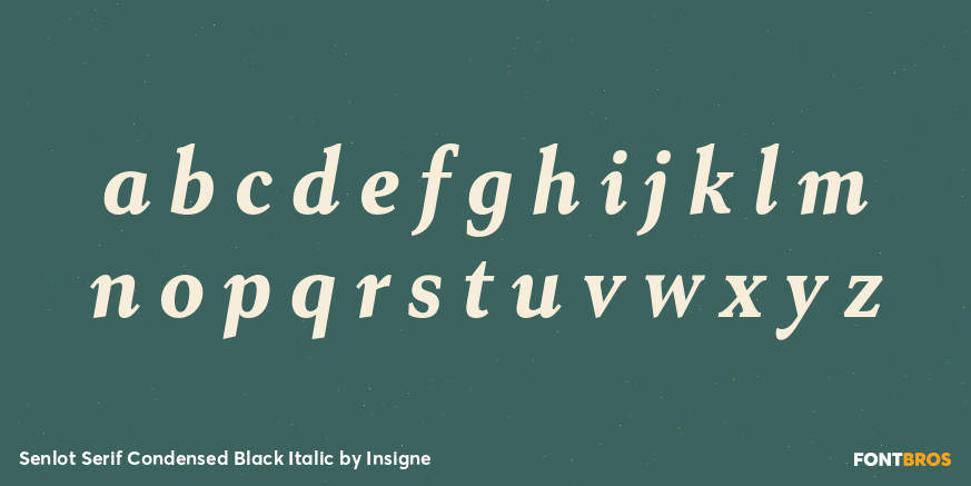 Senlot Serif Condensed Black Italic Font Poster #1