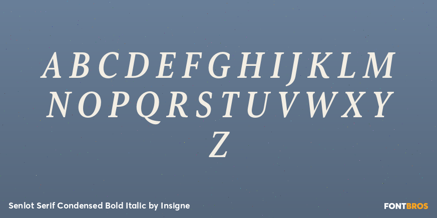 Senlot Serif Condensed Bold Italic Font Poster #2