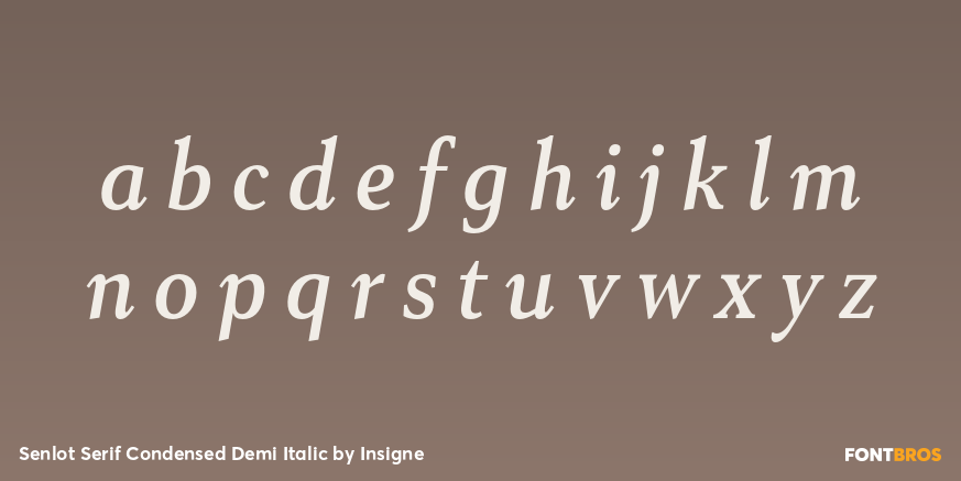 Senlot Serif Condensed Demi Italic Font Poster #3