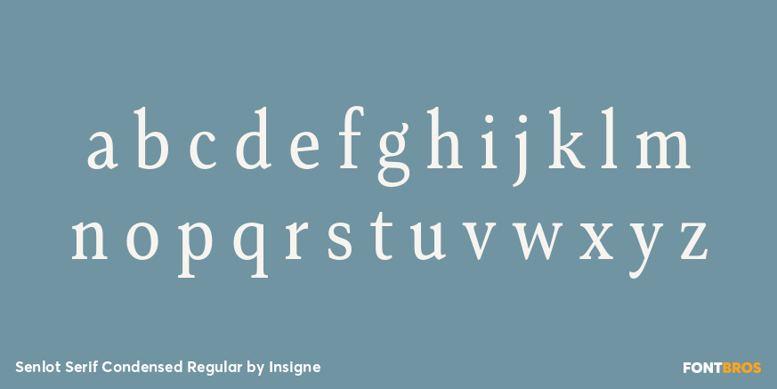 Senlot Serif Condensed Regular Font Poster #3