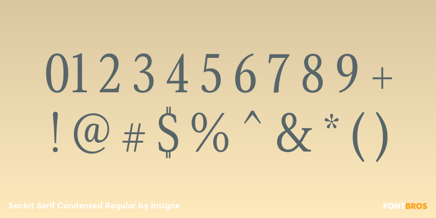 Senlot Serif Condensed Regular Font Poster #4