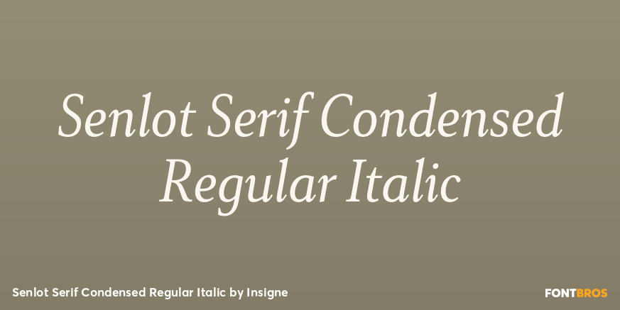 Senlot Serif Condensed Regular Italic Font Poster #1