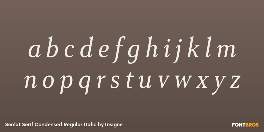 Senlot Serif Condensed Regular Italic Font Poster #3