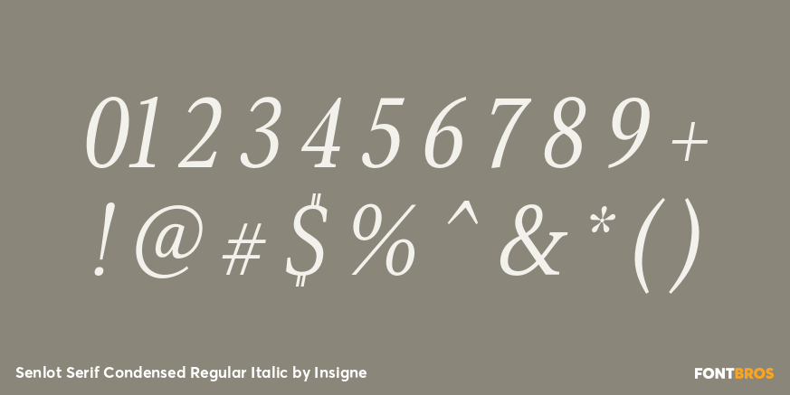 Senlot Serif Condensed Regular Italic Font Poster #4