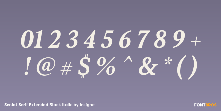 Senlot Serif Extended Black Italic Font Poster #1