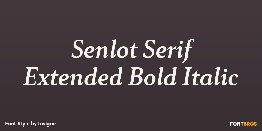 Senlot Serif Extended Bold Italic Font Poster #1