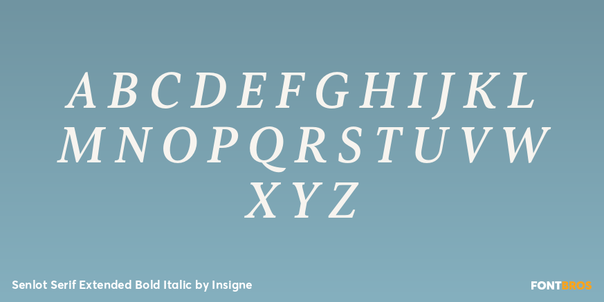 Senlot Serif Extended Bold Italic Font Poster #2