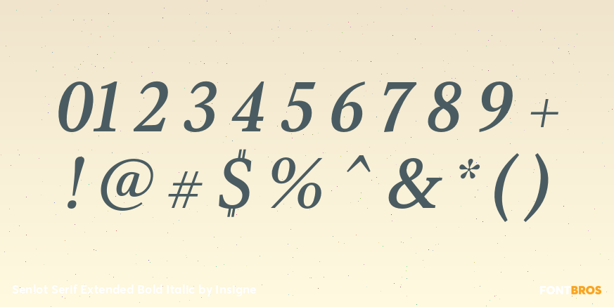 Senlot Serif Extended Bold Italic Font Poster #4