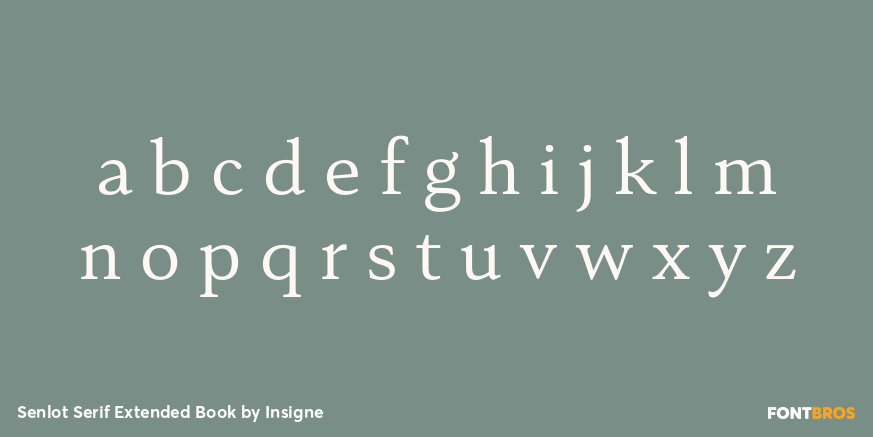 Senlot Serif Extended Book Font Poster #3