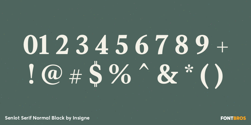 Senlot Serif Normal Black Font Poster #1