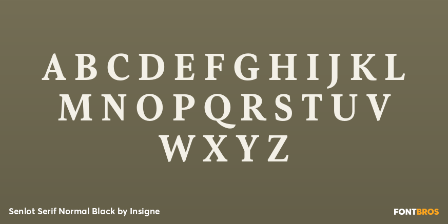 Senlot Serif Normal Black Font Poster #1