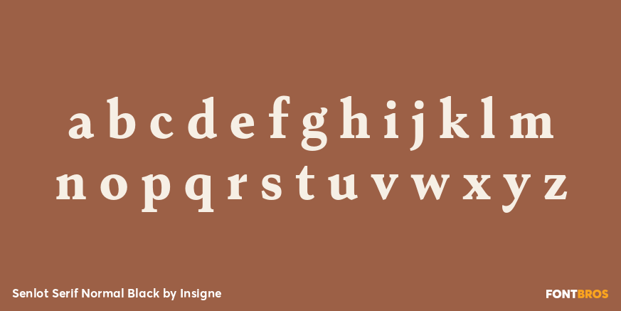 Senlot Serif Normal Black Font Poster #1