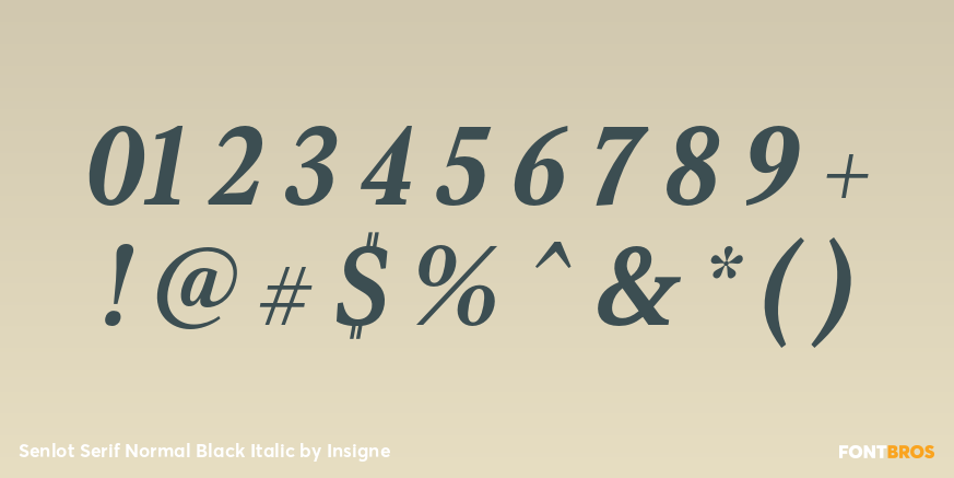Senlot Serif Normal Black Italic Font Poster #1