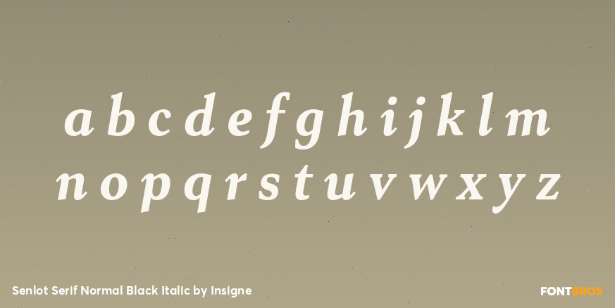 Senlot Serif Normal Black Italic Font Poster #3