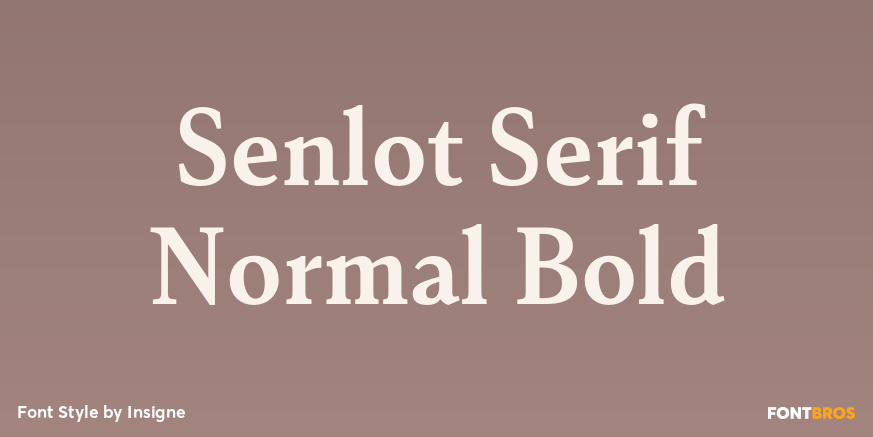 Senlot Serif Normal Bold Font Poster #1