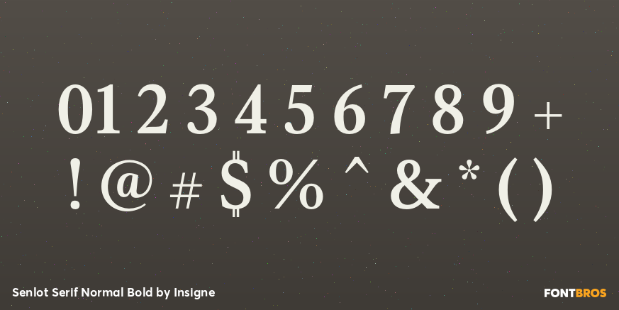 Senlot Serif Normal Bold Font Poster #1