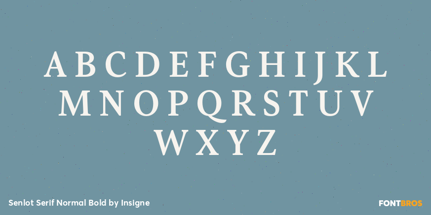 Senlot Serif Normal Bold Font Poster #1