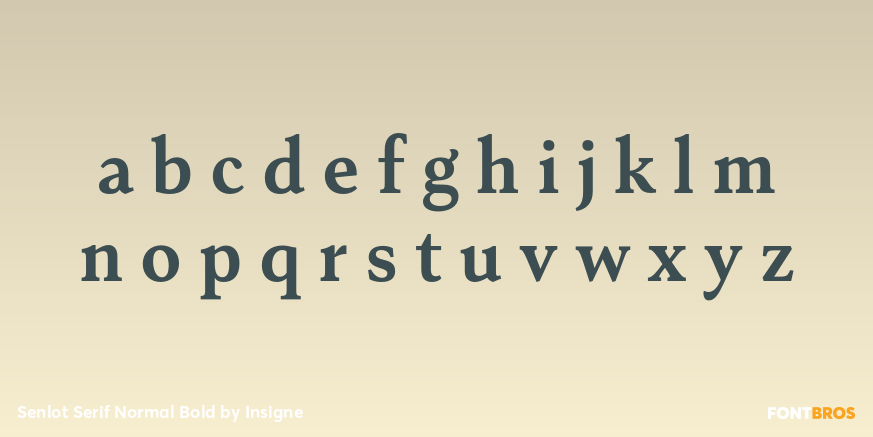 Senlot Serif Normal Bold Font Poster #1
