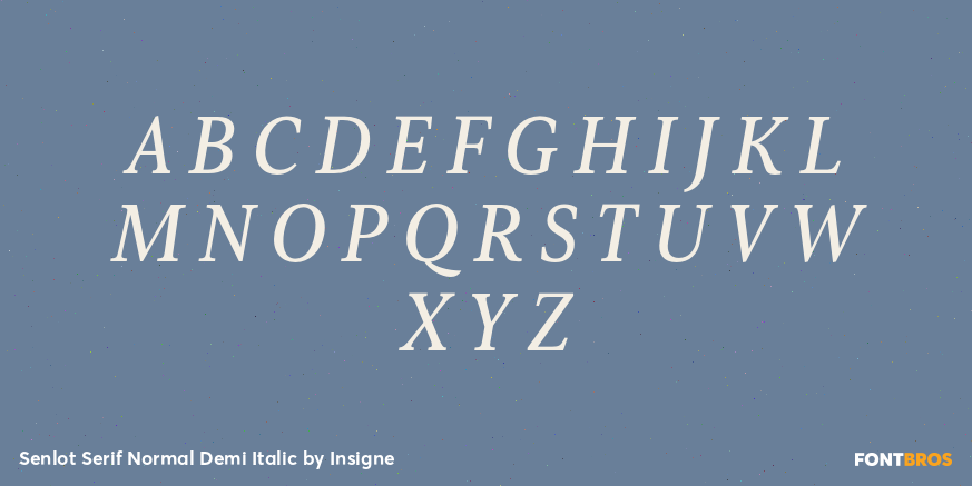 Senlot Serif Normal Demi Italic Font Poster #1