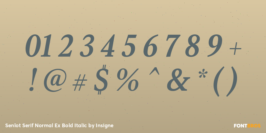 Senlot Serif Normal Ex Bold Italic Font Poster #1