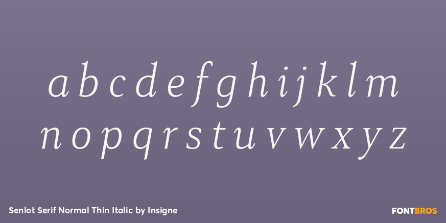 Senlot Serif Normal Thin Italic Font Poster #3