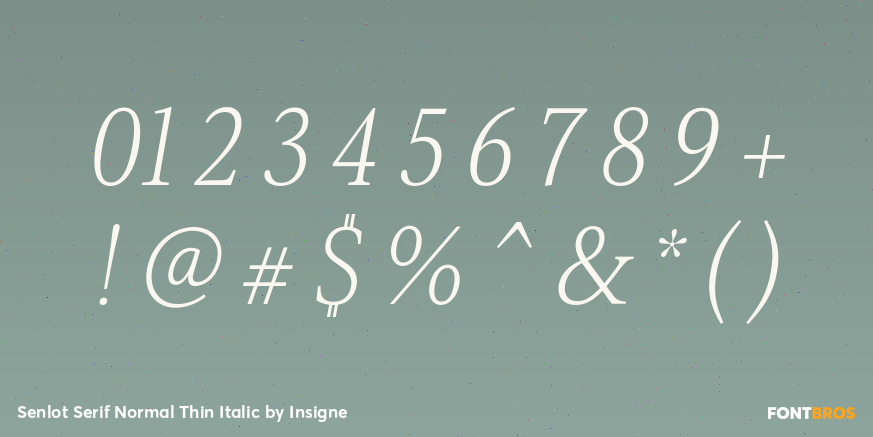 Senlot Serif Normal Thin Italic Font Poster #4