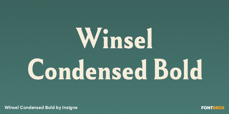 Winsel Condensed Bold Font Poster #1