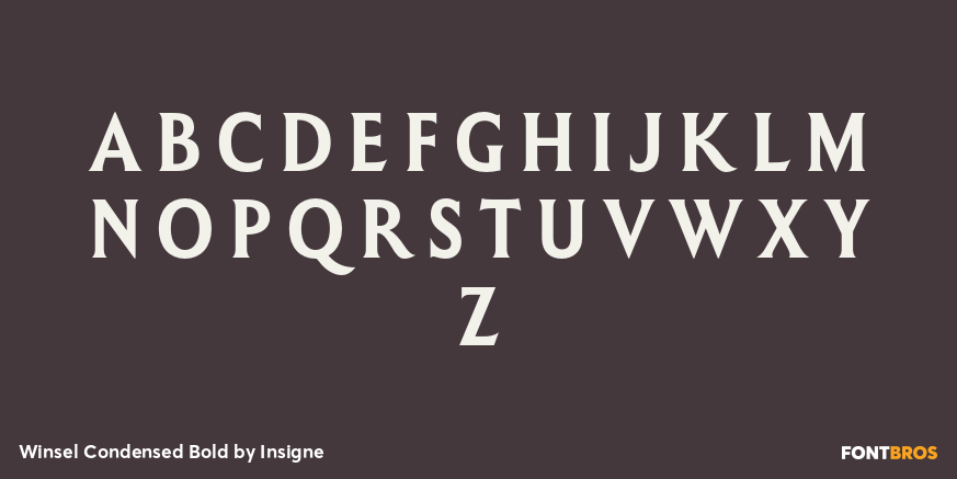 Winsel Condensed Bold Font Poster #2