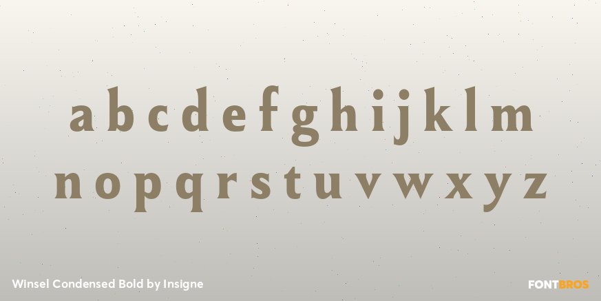 Winsel Condensed Bold Font Poster #3