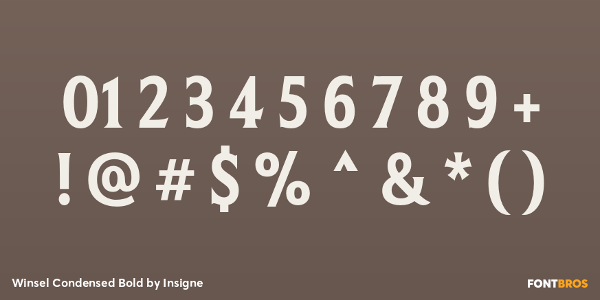 Winsel Condensed Bold Font Poster #4