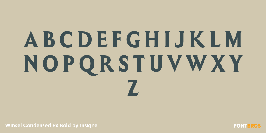 Winsel Condensed Ex Bold Font Poster #2