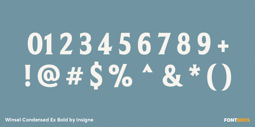 Winsel Condensed Ex Bold Font Poster #4