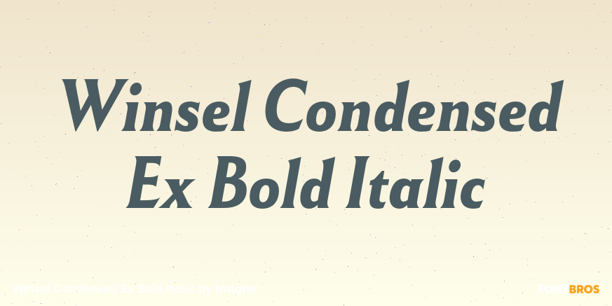 Winsel Condensed Ex Bold Italic Font Poster #1