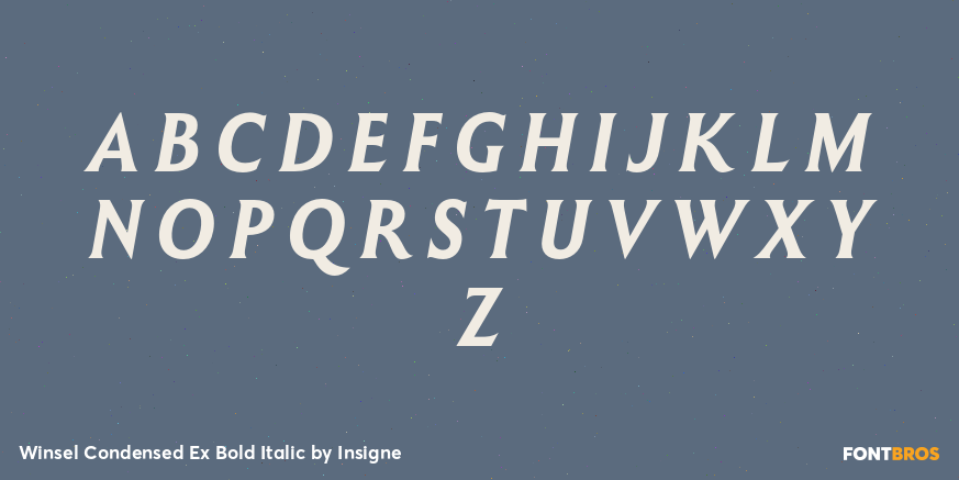 Winsel Condensed Ex Bold Italic Font Poster #2