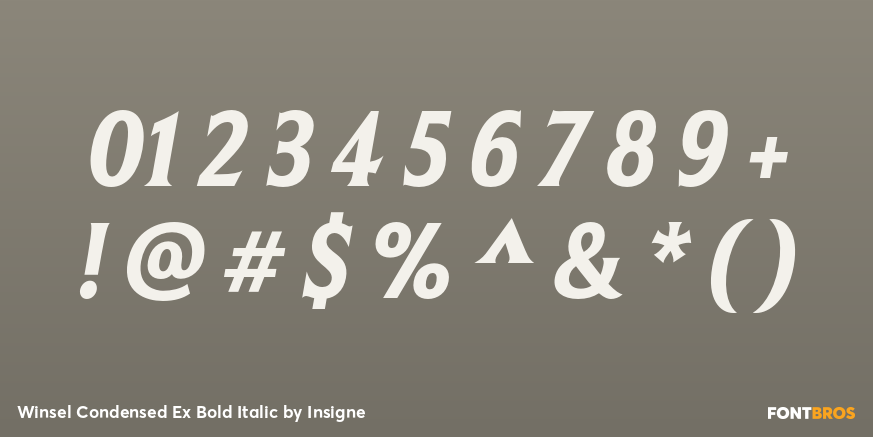 Winsel Condensed Ex Bold Italic Font Poster #4