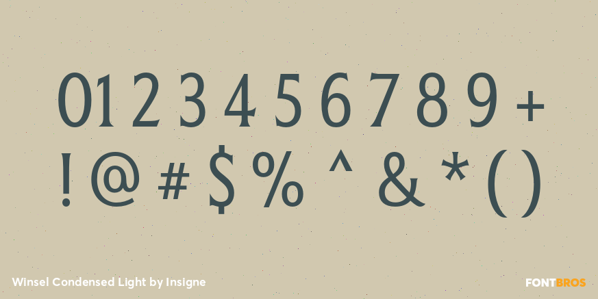 Winsel Condensed Light Font Poster #1