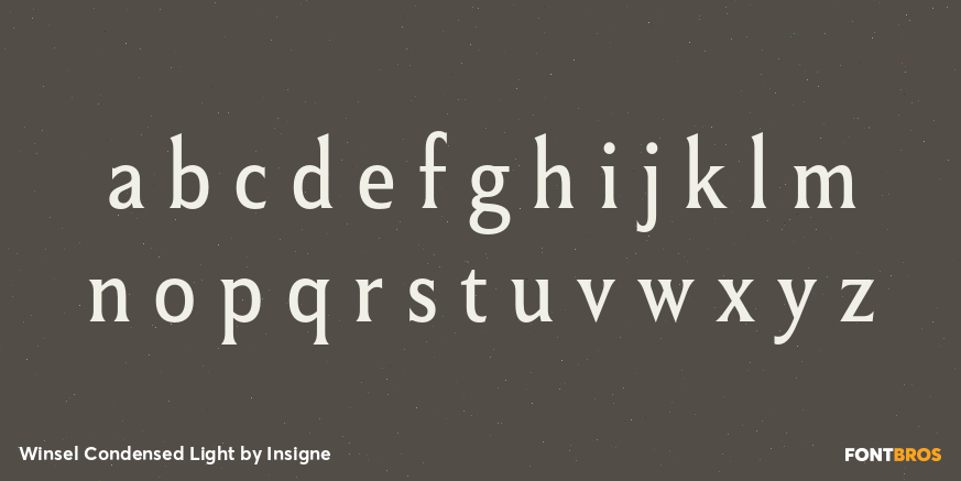 Winsel Condensed Light Font Poster #3