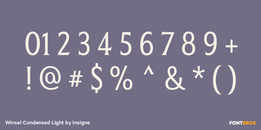 Winsel Condensed Light Font Poster #4