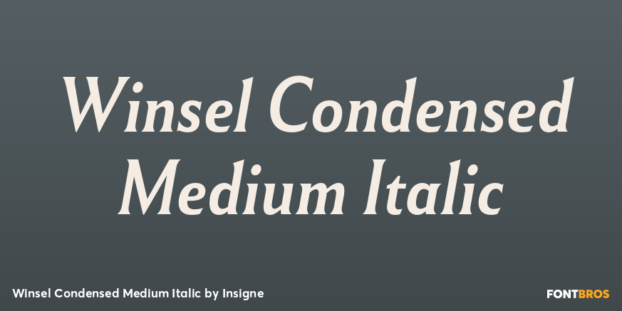 Winsel Condensed Medium Italic Font Poster #1